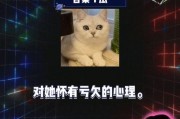 娱乐吃瓜爆料最新一期,明星秘闻大揭秘！
