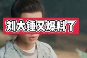 刘大锤爆料了哪些网红视频,网红视频背后的惊人爆料