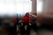 农夫视频在线观看,解锁田园生活新视角